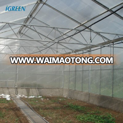 Single span polycarbonate sheet greenhouse for orchid flower