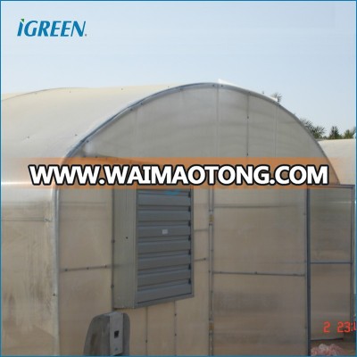 Single tunnel straight wall polycarbonate sheet vegetable greenhouse from China