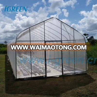 Cheap plastic film greenhouse for vegetable