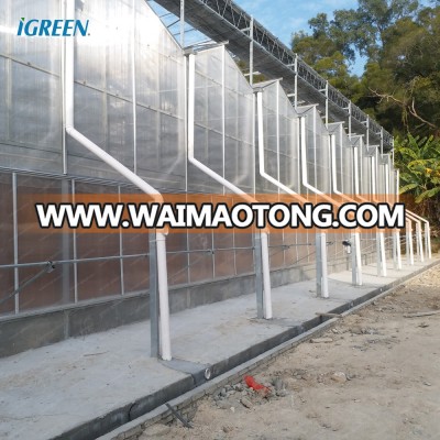 Commercial polycarbonate sheet agricultural greenhouses