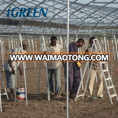 Commercial greenhouse for agricultural vegetables