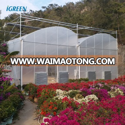 7m high saw tooth greenhouse for aquaponics system