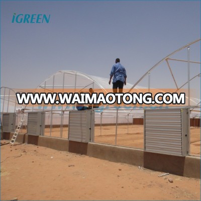 Plastic film agricultural greenhouse