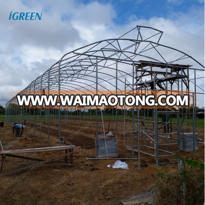 Umbrella shape greenhouse with roof vent for agricultural vegetable