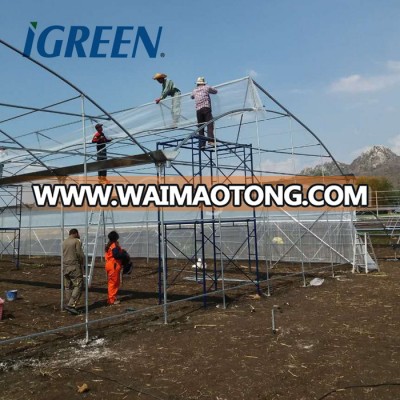 2018 HOT sale natural ventilation greenhouse for tomato