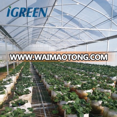 Agricultural commercial roof vent greenhouses for flower