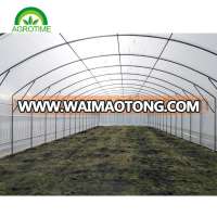 low cost poly film agriculture greenhouse for sale for growing cucumber in China