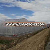 China cheap climate control greenhouse