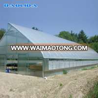 Chinese polytunnel greenhouse with irrigation system