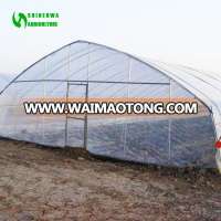 Steel Frame Greenhouse For Tomato Growing