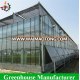 High Quality Multi-span Glass Greenhouse With Hydroponic System For Agriculture Price