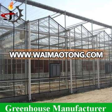 New Style Large Glass Agricultural Greenhouses for Industrial Used