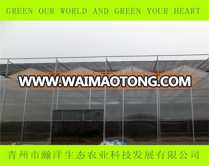 China Multi-span PC sheet polycarbonate greenhouse project with hydroponic system for strawberry and tomato planting