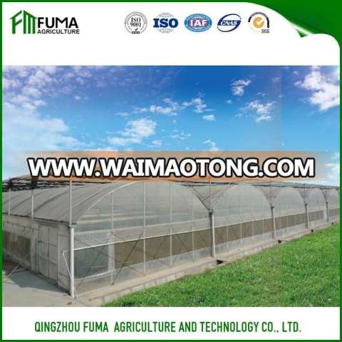 FM Cheapset Galvanized Steel Frame Mulit-span PO Film Greenhouse