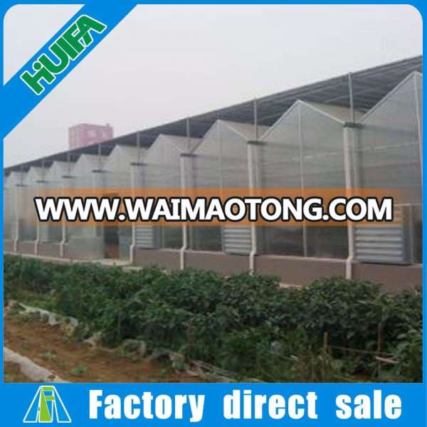 100% Factory Price uv coating 10mm polycarbonate sheet greenhouse